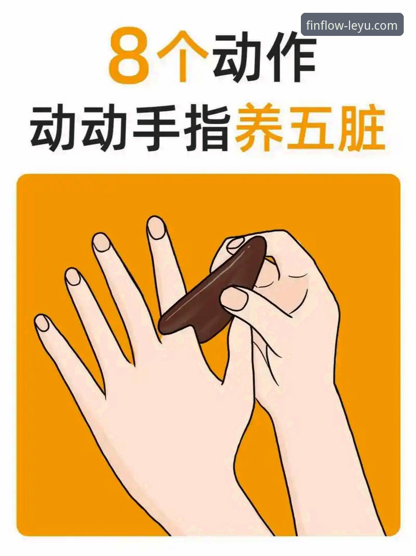 乐鱼体育推荐功能详解 乐鱼体育推荐功能详解:新手轻松上手指南
